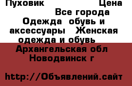 Пуховик Calvin Klein › Цена ­ 11 500 - Все города Одежда, обувь и аксессуары » Женская одежда и обувь   . Архангельская обл.,Новодвинск г.